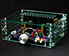 WP-CASE-A10